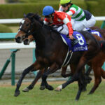 2013年阪神JF・レッドリヴェール - 大激戦で掴み取った勲章