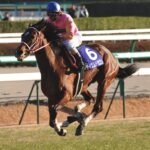 ［中山大障害］3歳で"天下"統一。障害キャリア3戦でJ・G1を勝った天才ジャンパー、テイエムドラゴン。