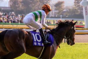 キセキに、最後のお願いを。