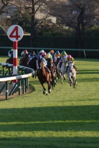 ［重賞回顧］凱旋門賞に縁のある血が、マラソンレースを制覇～2021年・ステイヤーズS～