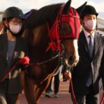 若きスタッフと共に……。マイネルパイオニアの大冒険。