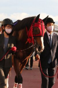 若きスタッフと共に……。マイネルパイオニアの大冒険。