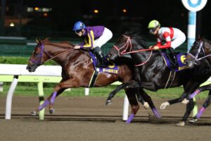 ［連載・クワイトファインプロジェクト］第4回 地方競馬の雄カジノフォンテンを支える名種牡馬ディクタスの血