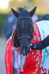 ［重賞回顧］「昨日の敵は今日の友」。有馬記念で対峙したタッグからＧＩ馬が誕生！～2021年・ホープフルS～