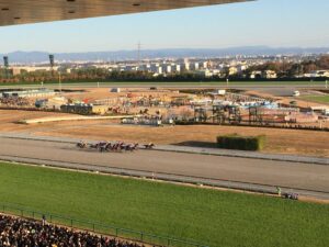 映像ではわからない、最初のチャンピオンズカップ挑戦で見せたサンビスタの末脚。