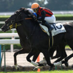 印象的な勝利を見せる、漆黒の馬体を持つ名馬。気高きダービー馬、エイシンフラッシュ。