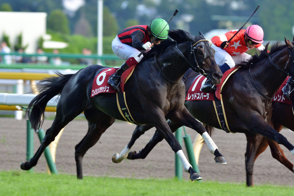 印象的な勝利を見せる 漆黒の馬体を持つ名馬 気高きダービー馬 エイシンフラッシュ 競馬コラム ニュース ウマフリ