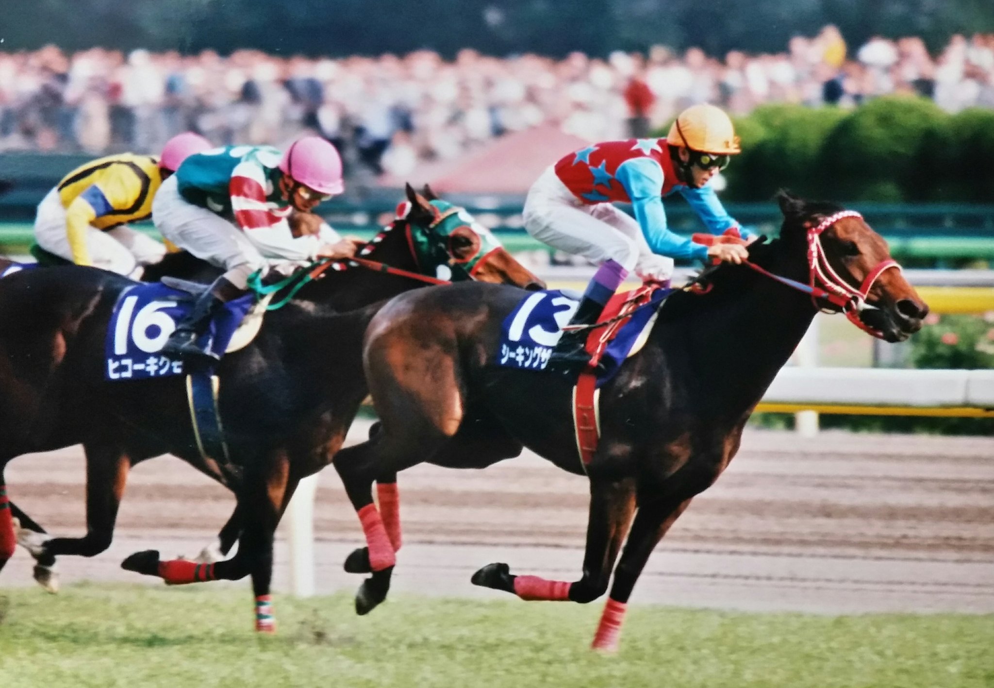 ［シンザン記念］シンザン記念で2歳GⅠの雪辱を果たした馬たち