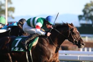 ［重賞回顧］内にこだわり末脚一閃！尾張の地で、2つ目の重賞タイトルを獲得～2022年・京都金杯～