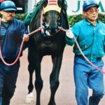 ［日経新春杯］ムッシュシェクルやハギノリアルキング…。伝統の一戦を制したロベルト系の実力派たち。