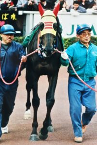 ［日経新春杯］ムッシュシェクルやハギノリアルキング…。伝統の一戦を制したロベルト系の実力派たち。