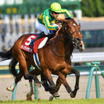 2つのジンクスを打ち破った、至高の金剛石。 - サトノダイヤモンド