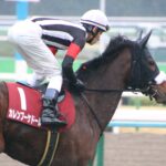 今度こそ、何度でも。カレンブーケドール、どうか大輪の花を。