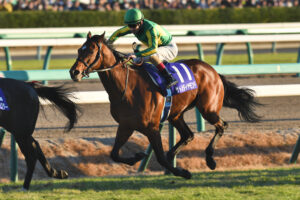 金剛不壊。5歳のサトノダイヤモンドの姿を振り返る