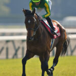 ［2018年・京都大賞典］大歓声に包まれた復活V～淀のターフで輝きを放ったダイヤモンド～