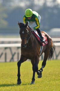 ［2018年・京都大賞典］大歓声に包まれた復活V～淀のターフで輝きを放ったダイヤモンド～