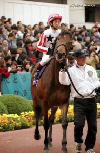 ［アメリカJCC］世界的良血馬が、血を遺す未来と引き換えに手にしたもの - 2003年・マグナーテン