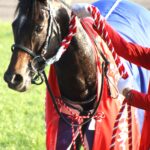 「推しの推し」は半分愛馬! デビューから追いかけてきたゴールスキーがダート転向後7歳で重賞初勝利をあげた思い出。