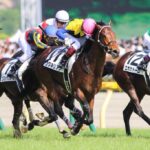 ［追悼］さらば愛しきダービー馬ワグネリアン。その全17戦の激闘を振り返る