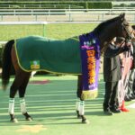 ［日経新春杯］"4歳三強"それぞれの意地とプライドが激突した名勝負を振り返る。 - 2011年・ルーラーシップ