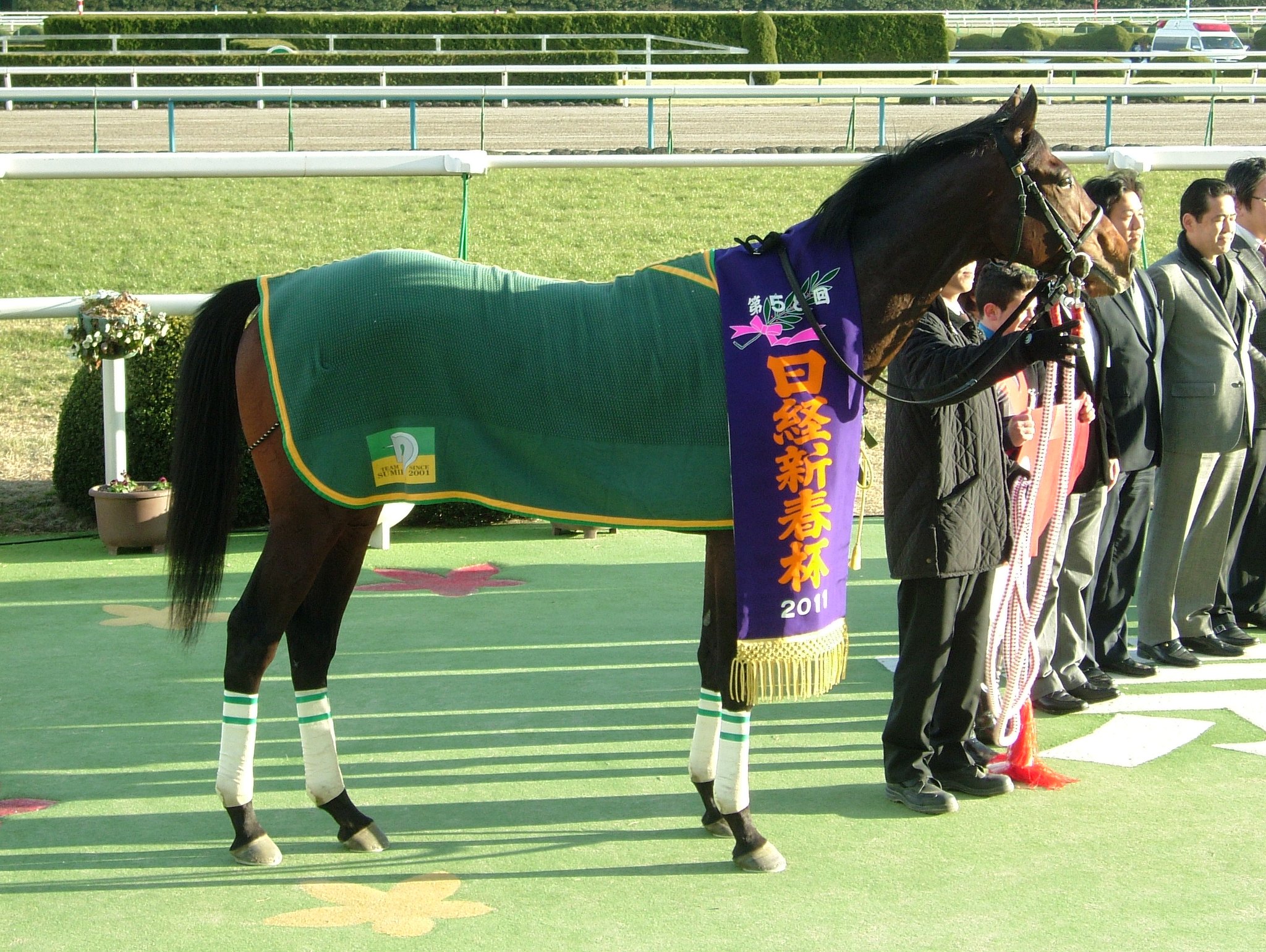 ［日経新春杯］"4歳三強"それぞれの意地とプライドが激突した名勝負を振り返る。 - 2011年・ルーラーシップ