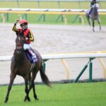 大歓声が聴こえた日 - 阪神競馬場とグランアレグリア