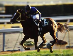 ダイタクリーヴァ - 冬とハンデ戦を愛した、幻の三冠馬の遺伝子を持つ名馬