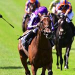 英国競馬242年の歴史を変えた名牝スノーフォールがくれた希望