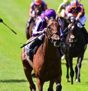 英国競馬242年の歴史を変えた名牝スノーフォールがくれた希望