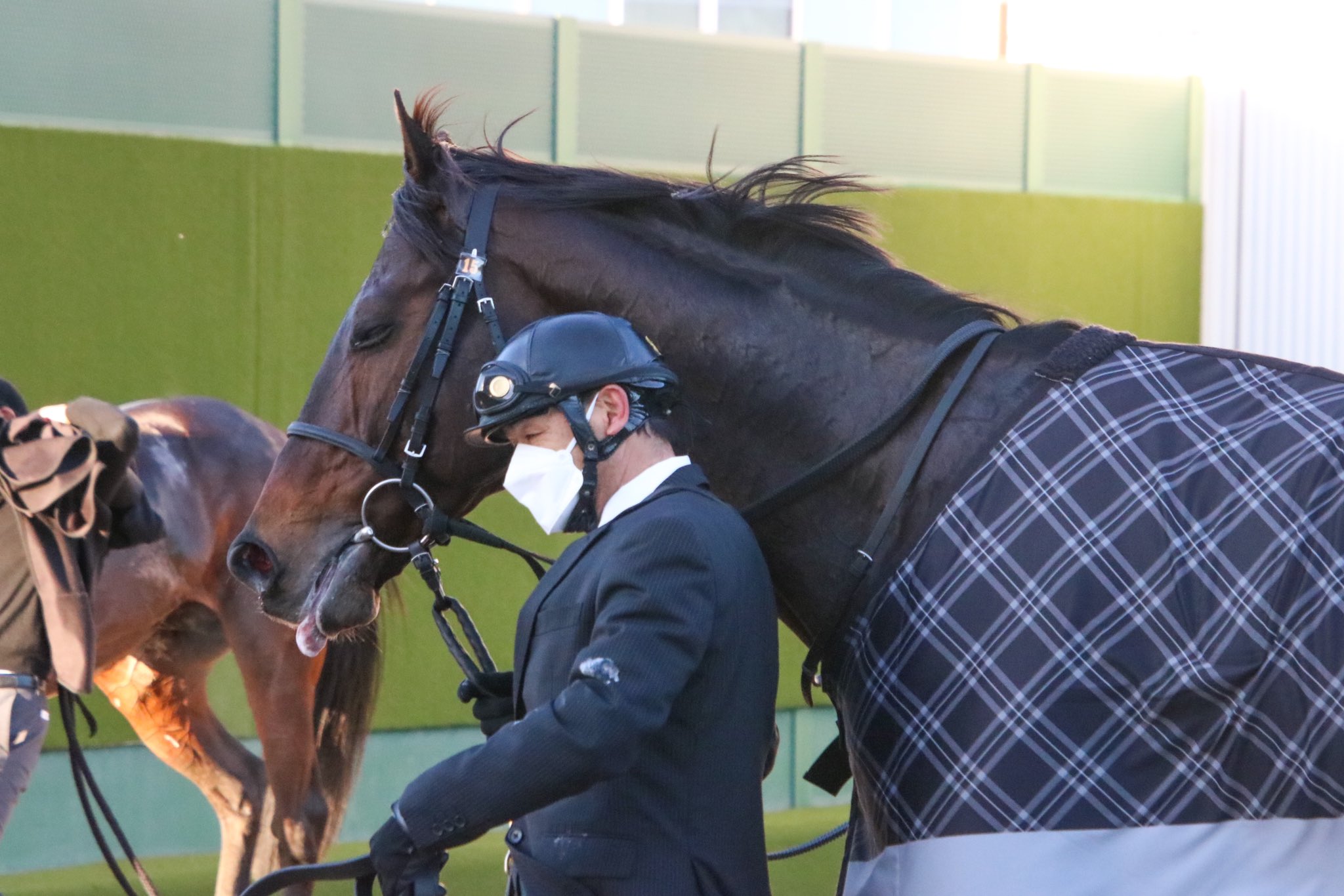 キセキに、最後のお願いを。 ウマフリ 競馬コラム&ニュース