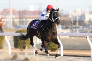 ［地方レース回顧］盤石の王者、川崎からドバイの頂へ～2022年・川崎記念～