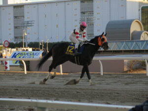 金沢経由、川崎行き。金沢競馬ファンが見た、第65回川崎記念を振り返る。