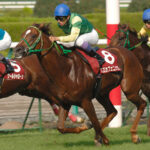 ［東京新聞杯］夢を繋いだかのように感じられた逸材。府中で末脚が光った一戦を振り返る。 - 2007年・スズカフェニックス