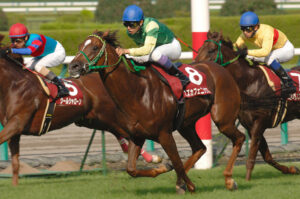 ［東京新聞杯］夢を繋いだかのように感じられた逸材。府中で末脚が光った一戦を振り返る。 - 2007年・スズカフェニックス