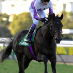 ゆっくりでも大丈夫。名手のやさしさと確かな戦略。2009年リーチザクラウンのきさらぎ賞