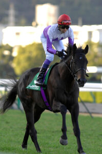 ゆっくりでも大丈夫。名手のやさしさと確かな戦略。2009年リーチザクラウンのきさらぎ賞