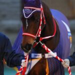 ラヴズオンリーユーを愛した、すべての人たちへ。