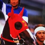 ［南部杯］トウケイニセイにメイセイオペラ、トーホウエンペラー…。岩手の伝統JpnⅠを制した名馬たち。