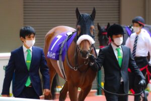 素質馬サトノレイナスが可憐に駆け抜けた、現役の全5戦を振り返る。