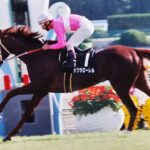 底力で掴み取った二つの月桂冠。怪我を乗り越え年度代表馬に輝いた名馬サクラローレルの現役時代を振り返る。