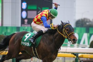 藤原サトノダイヤモンド 新馬戦〜天皇賞・春２歳から４歳国内全１０戦現地単勝 競馬 - サトノダイヤモンド｜東スポnote