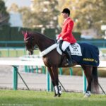 ［阪急杯］最高で最後の勝利の美酒 - 2006年・ブルーショットガン