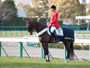 ［阪急杯］最高で最後の勝利の美酒 - 2006年・ブルーショットガン