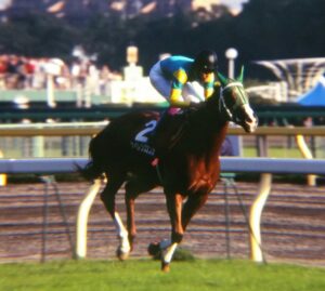 中山記念］サイレンススズカ・サクラチトセオー・ローエングリン