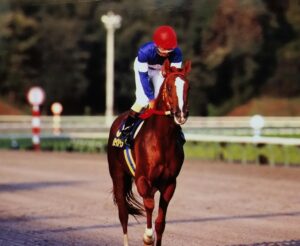 ［フェブラリーS］Pride of Iwate〜『水沢の』メイセイオペラが『日本の』メイセイオペラになった日〜