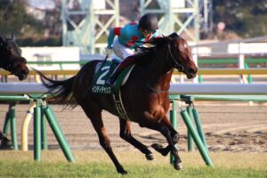 インディチャンプ～挑み続けた、マイル王～