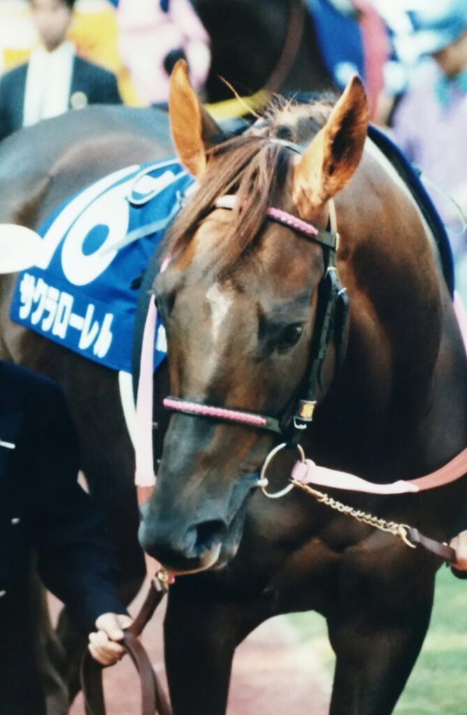 底力で掴み取った二つの月桂冠。怪我を乗り越え年度代表馬に輝いた名馬