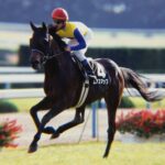 忘れちゃいけない、藤沢和雄厩舎を彩った個性派たち