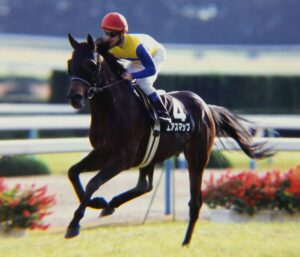 馬体は語る2 (競馬道OnLine選書 009) | 治郎丸敬之, 一口馬主DB