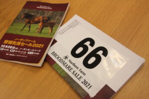 ［連載・馬主は語る］真空地帯を逃さない（シーズン1-28）
